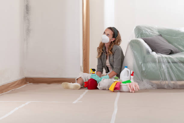 Trusted Mold Testing service in Vienna, IL - WQB Mold Removal